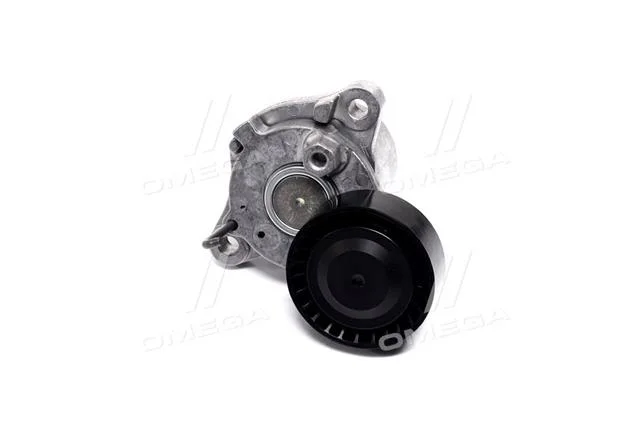 Натяжной планка поликлинового ремня HYUNDAI 25281-2A200