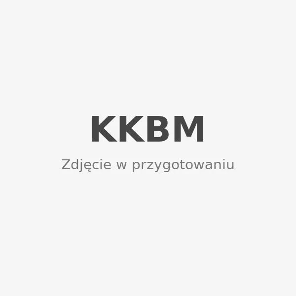 Ролик натяжний AUDI