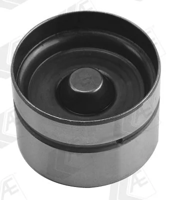 Гидрокомпенсатор FIAT/RENAULT 1.4-2.4 16V 182B6/F2N 24MM 1986->